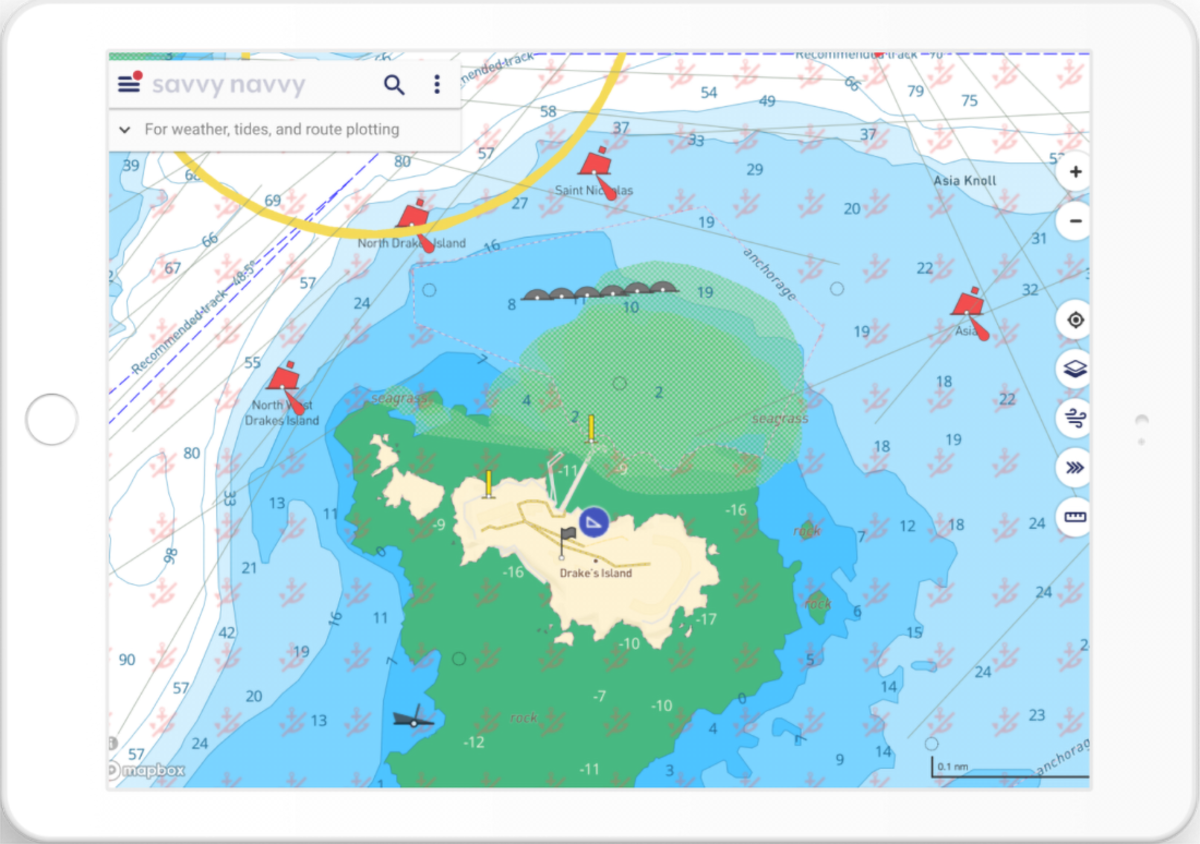  caption:  Seagrass shown within Savvy Navvy app interface